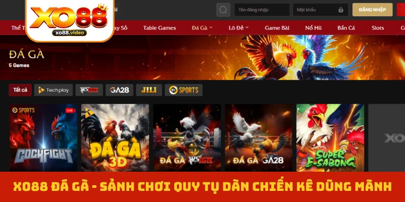 XO88 Đá Gà - Sảnh Chơi Quy Tụ Dàn Chiến Kê Dũng Mãnh 1 XO88 Đá Gà - Sảnh Chơi Quy Tụ Dàn Chiến Kê Dũng Mãnh